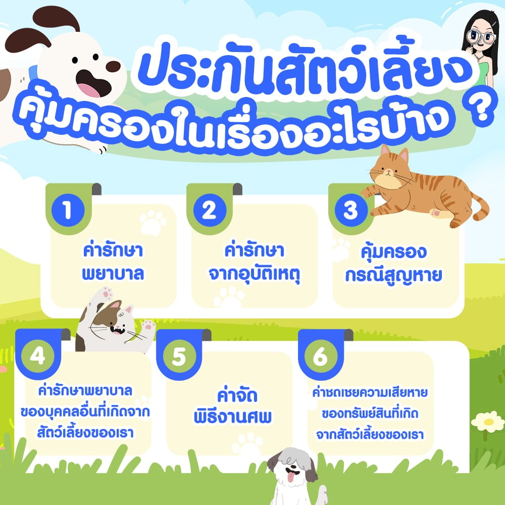 ประกันสัตว์เลี้ยงคุ้มครองอะไรบ้าง ประกันสัตว์เลี้ยงคุ้มครองอะไรบ้าง